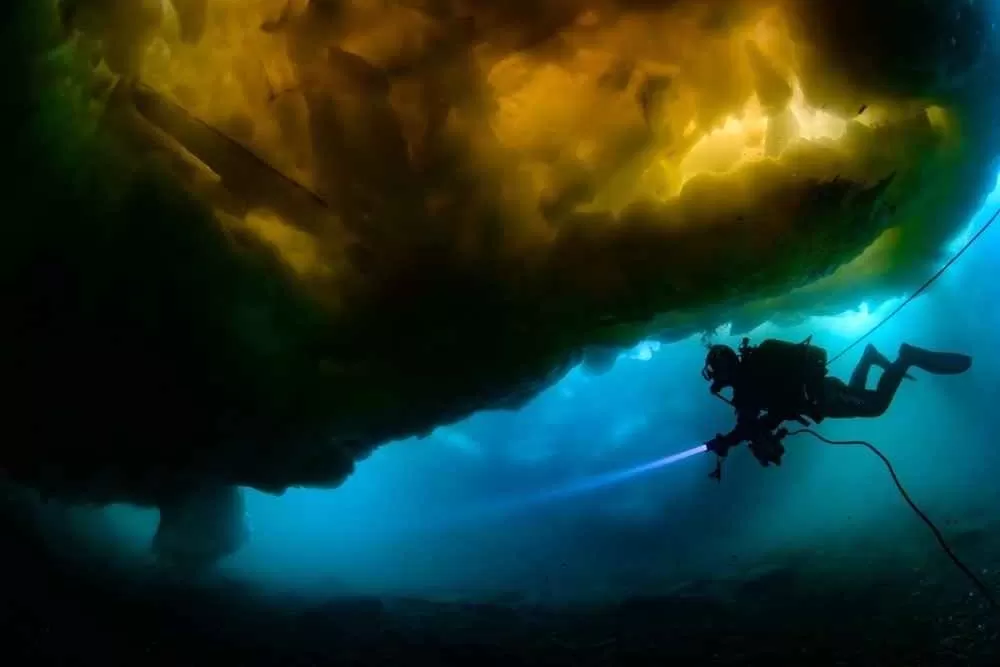 MOBBY’Sアンバサダー茂野優太氏｜ADEX JAPAN 2025登壇のお知らせ